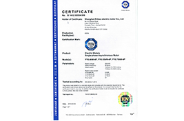 CERTIFICATE006